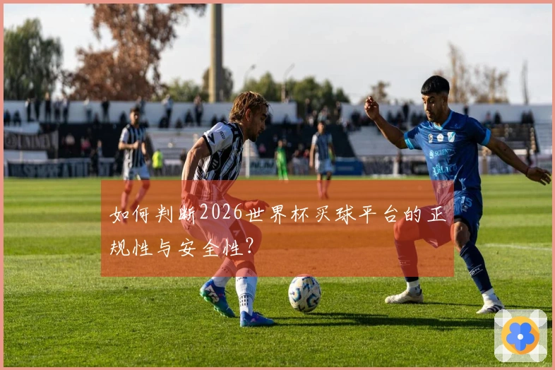 如何判断2026世界杯买球平台的正规性与安全性？