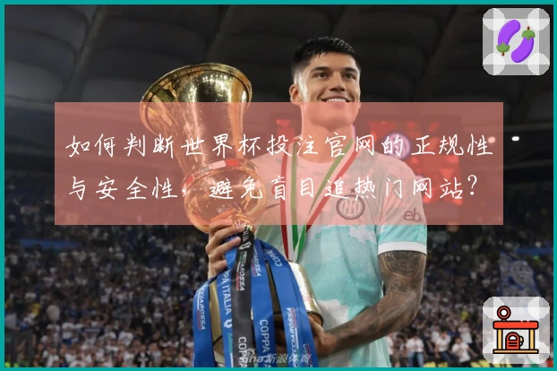 如何判断世界杯投注官网的正规性与安全性,避免盲目追热门网站?