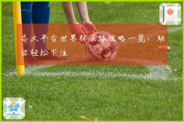 各大平台世界杯买球攻略一览,助你轻松下注