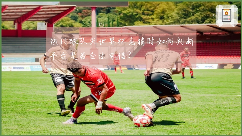 热门球队买世界杯竞猜时如何判断平台是否合法可信？