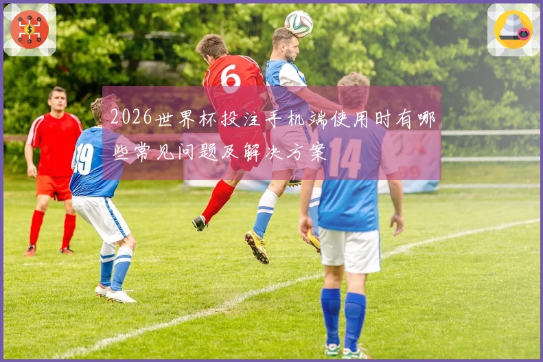 2026世界杯投注手机端使用时有哪些常见问题及解决方案