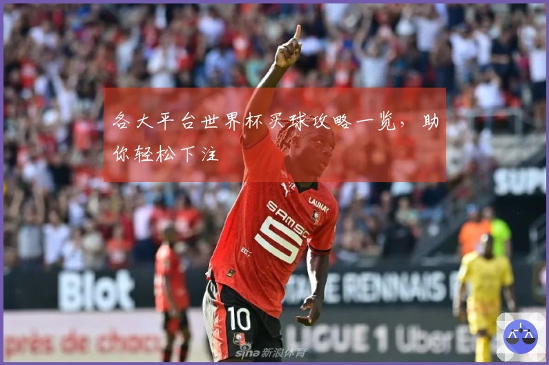 各大平台世界杯买球攻略一览，助你轻松下注