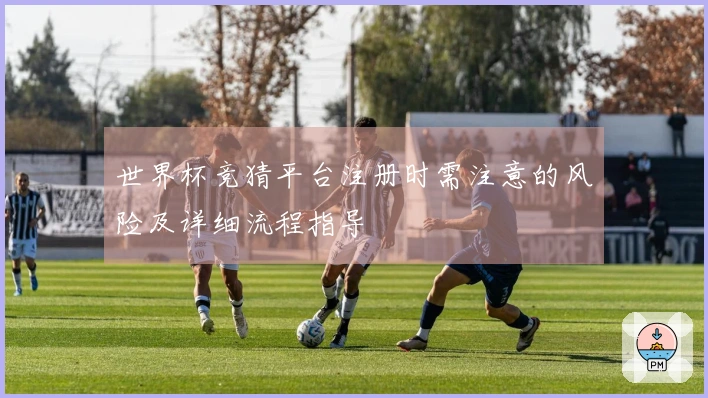 世界杯竞猜平台注册时需注意的风险及详细流程指导