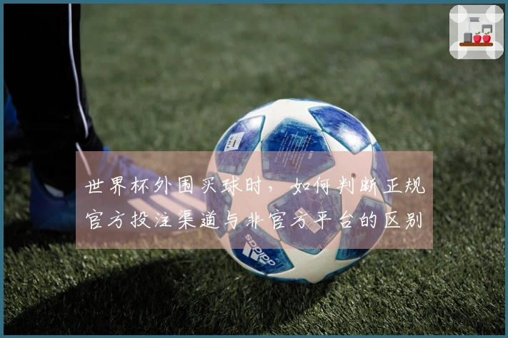 世界杯外围买球时，如何判断正规官方投注渠道与非官方平台的区别